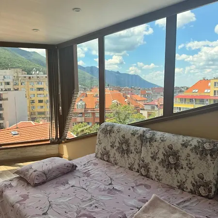 Amazing View